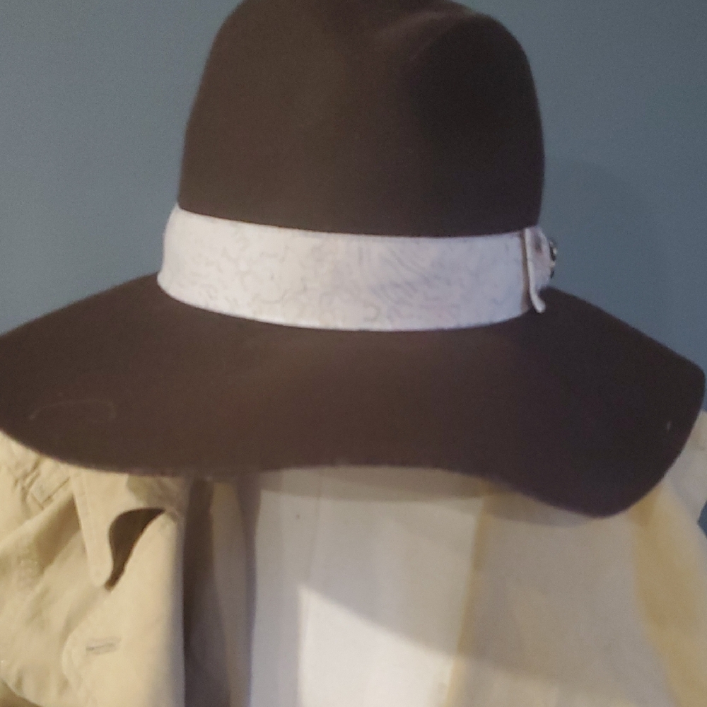 Disney Park  Brown and Cream Fedora Hat - Picture 9 of 10